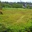  Land for sale in Kerambitan, Tabanan, Kerambitan