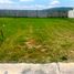  Land for sale in Zapopan, Jalisco, Zapopan, Jalisco