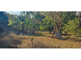  Land for sale in San Carlos, David, San Carlos