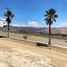  Grundstück zu verkaufen in Tijuana, Baja California, Tijuana, Baja California
