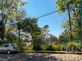  토지을(를) Xalapa, 베라 크루즈에서 판매합니다., Xalapa