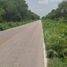 Terrain à vendre à Tixpehual, Yucatan, Tixpehual