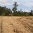  Land for sale in Kalasan, Sleman, Kalasan