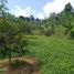  Land for sale in Bogor Selatan, Bogor, Bogor Selatan