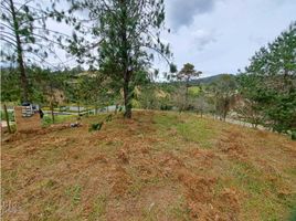  Land for sale in Envigado, Antioquia, Envigado