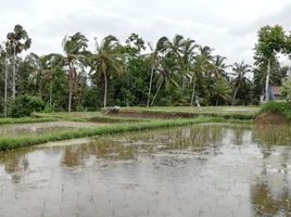  Grundstück zu verkaufen in Gianyar, Bali, Tegallalang