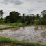  Terrain for sale in Gianyar, Bali, Tegallalang, Gianyar