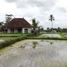  Terrain for sale in Gianyar, Bali, Tegallalang, Gianyar