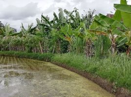  Grundstück zu verkaufen in Gianyar, Bali, Tegallalang