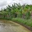  Terrain for sale in Gianyar, Bali, Tegallalang, Gianyar