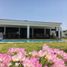 3 Habitación Casa en venta en Miacatlan, Morelos, Miacatlan