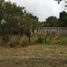  Land for sale in Pueblo Viejo, Veracruz, Pueblo Viejo