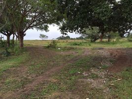  Land for sale in Pueblo Viejo, Veracruz, Pueblo Viejo