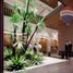 40 SqM Office for sale in Cuernavaca, Morelos, Cuernavaca