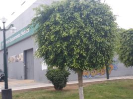  Terreno (Parcela) en venta en Callao, Callao, Ventanilla, Callao