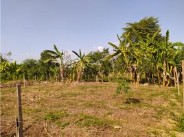  Terrain for sale in Los Garzones International Airport, Monteria, Monteria