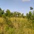  Terrain for sale in Los Garzones International Airport, Monteria, Monteria