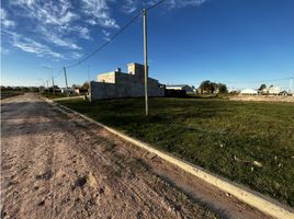  Land for sale in Uruguay Entre Rios, Uruguay