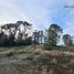  Land for sale in Llanquihue, Los Lagos, Puerto Varas, Llanquihue