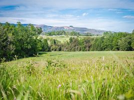  Terreno (Parcela) en venta en Los Lagos, Valdivia, Los Lagos