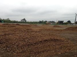  Terreno (Parcela) en venta en Araucanía, Renaico, Malleco, Araucanía