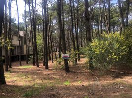  Terreno (Parcela) en venta en Villa Gesell, Buenos Aires, Villa Gesell