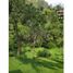 5 Habitación Villa en venta en Envigado, Antioquia, Envigado