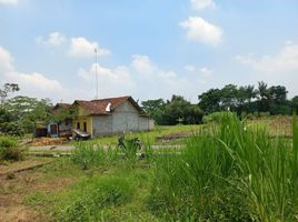 1 Bedroom House for sale in Prambanan, Klaten, Prambanan