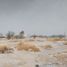  Land for rent in Matamoros, Coahuila, Matamoros