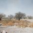  Terrain for rent in Matamoros, Coahuila, Matamoros