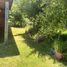 2 Bedroom House for rent in Villarrica, Cautin, Villarrica