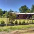 2 Bedroom House for rent in Villarrica, Araucania, Villarrica, Cautin
