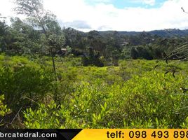  Land for sale in Canar, Javier Loyola Chuquipata, Azogues, Canar