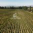  Land for sale in Chile, Molina, Curico, Maule, Chile