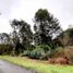  Land for sale in Llanquihue, Los Lagos, Frutillar, Llanquihue