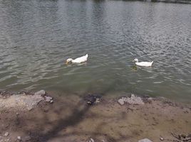  Grundstück zu verkaufen in Toluca, Mexico, Toluca