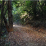  Land for sale in Los Rios, Panguipulli, Valdivia, Los Rios