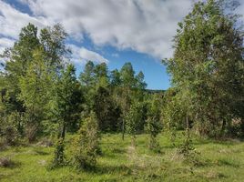 Land for sale in Chile, Fresia, Llanquihue, Los Lagos, Chile