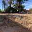  Land for sale in Soledad De Graciano Sanchez, San Luis Potosi, Soledad De Graciano Sanchez