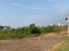  Land for sale in Samborondon, Guayas, Samborondon, Samborondon