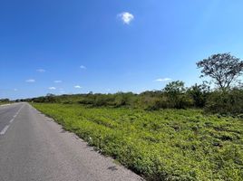  Grundstück zu verkaufen in Seye, Yucatan, Seye