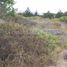  Land for sale in Chile, Algarrobo, San Antonio, Valparaiso, Chile