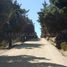  Land for sale in Chile, Algarrobo, San Antonio, Valparaiso, Chile