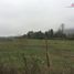  Terreno (Parcela) en venta en Chile, Curico, Curicó, Maule, Chile