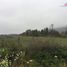  Terreno (Parcela) en venta en Chile, Curico, Curicó, Maule, Chile