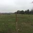  Terreno (Parcela) en venta en Chile, Curico, Curicó, Maule, Chile