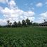  Land for sale in Dramaga, Bogor, Dramaga