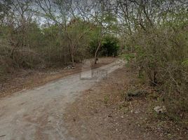  Grundstück zu verkaufen in Chicxulub Pueblo, Yucatan, Chicxulub Pueblo