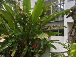 2 Schlafzimmer Wohnung zu vermieten in Merida, Yucatan, Merida, Yucatan