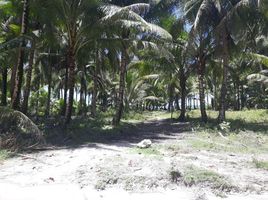  Land for sale in Surigao del Norte, Caraga, General Luna, Surigao del Norte